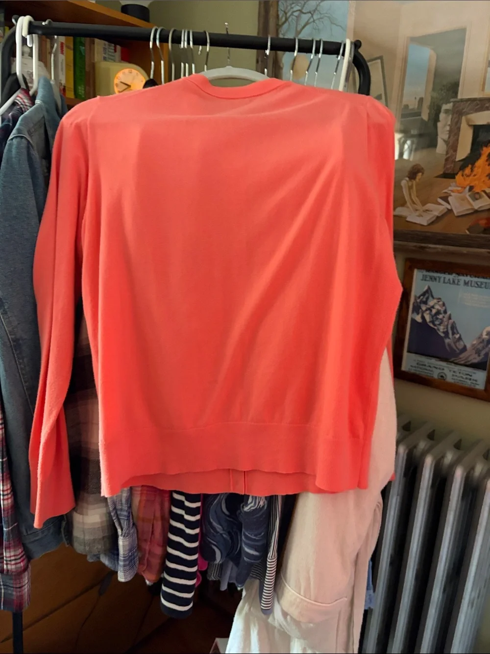 J. Crew Coral Pink Cardigan with Brown Sequin Floral Embellishment - Picture 6 of 6